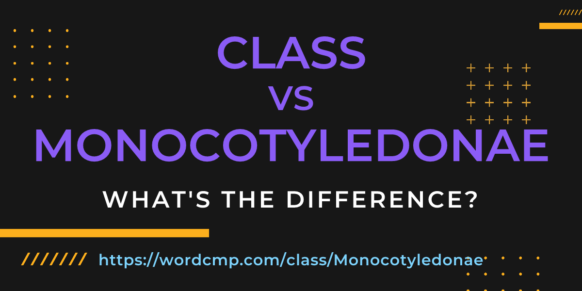 Difference between class and Monocotyledonae