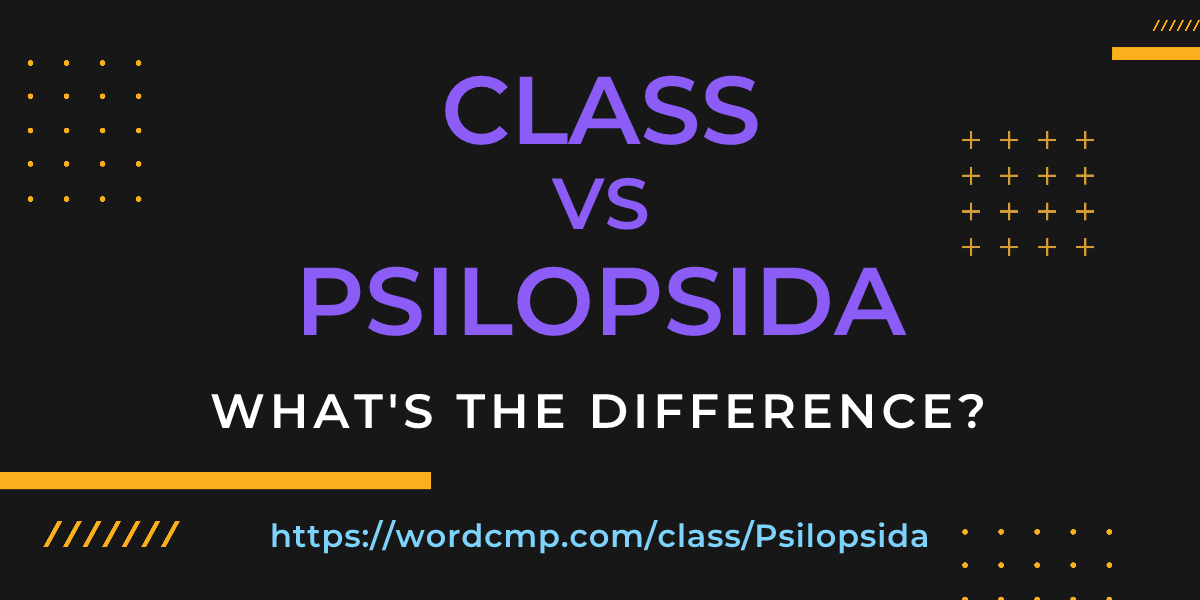 Difference between class and Psilopsida