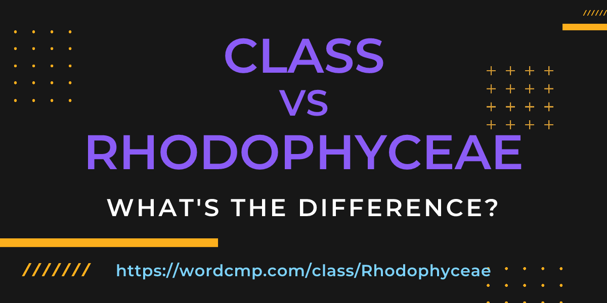 Difference between class and Rhodophyceae