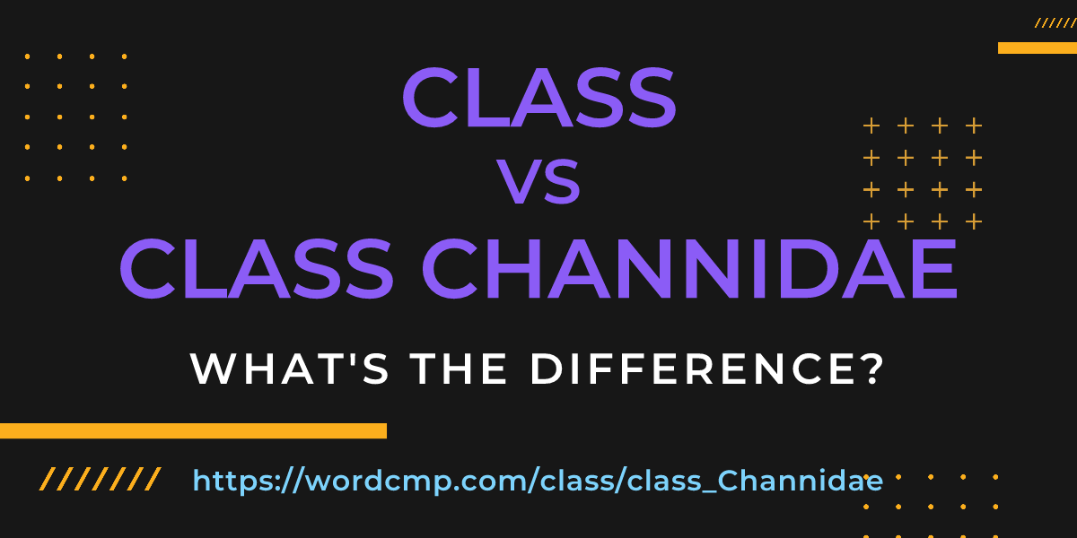 Difference between class and class Channidae