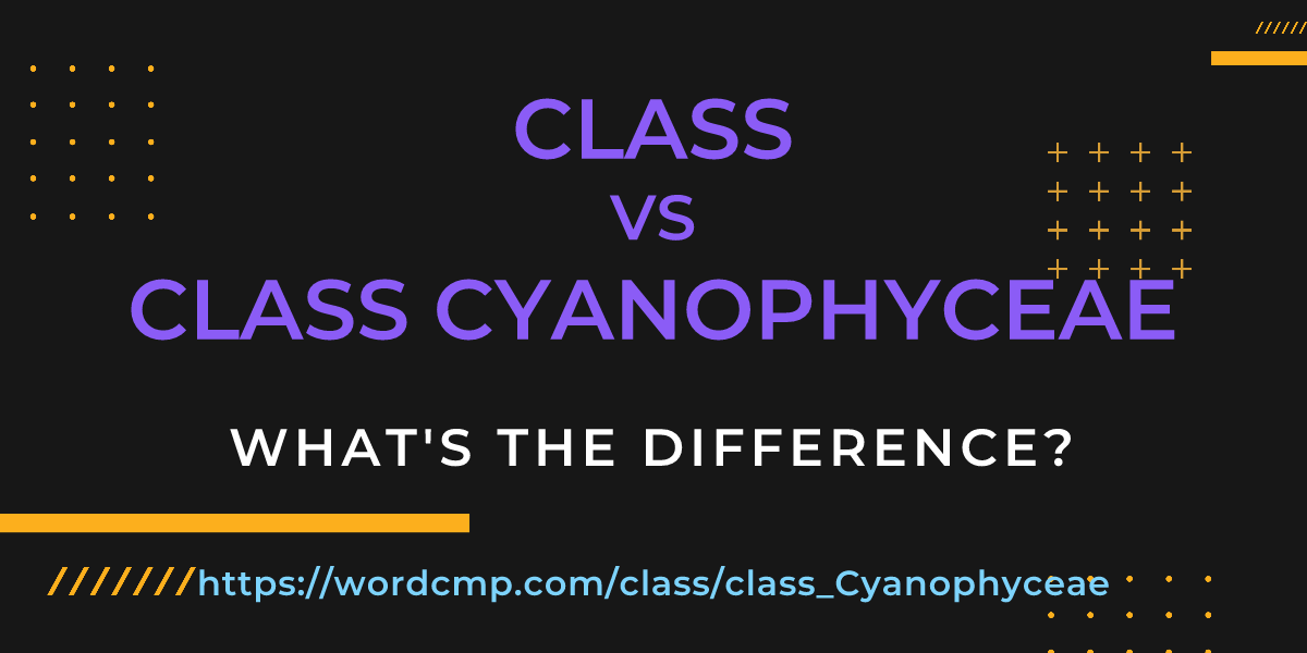 Difference between class and class Cyanophyceae