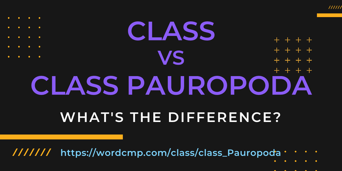 Difference between class and class Pauropoda