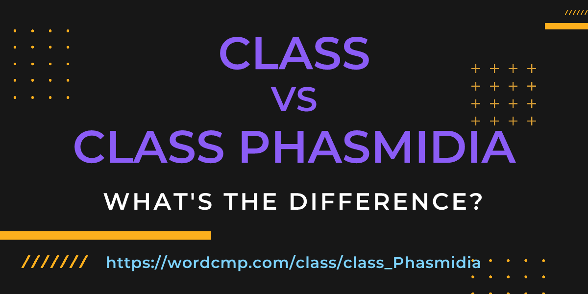 Difference between class and class Phasmidia