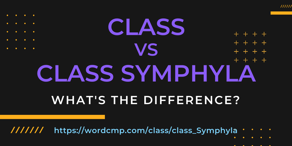 Difference between class and class Symphyla