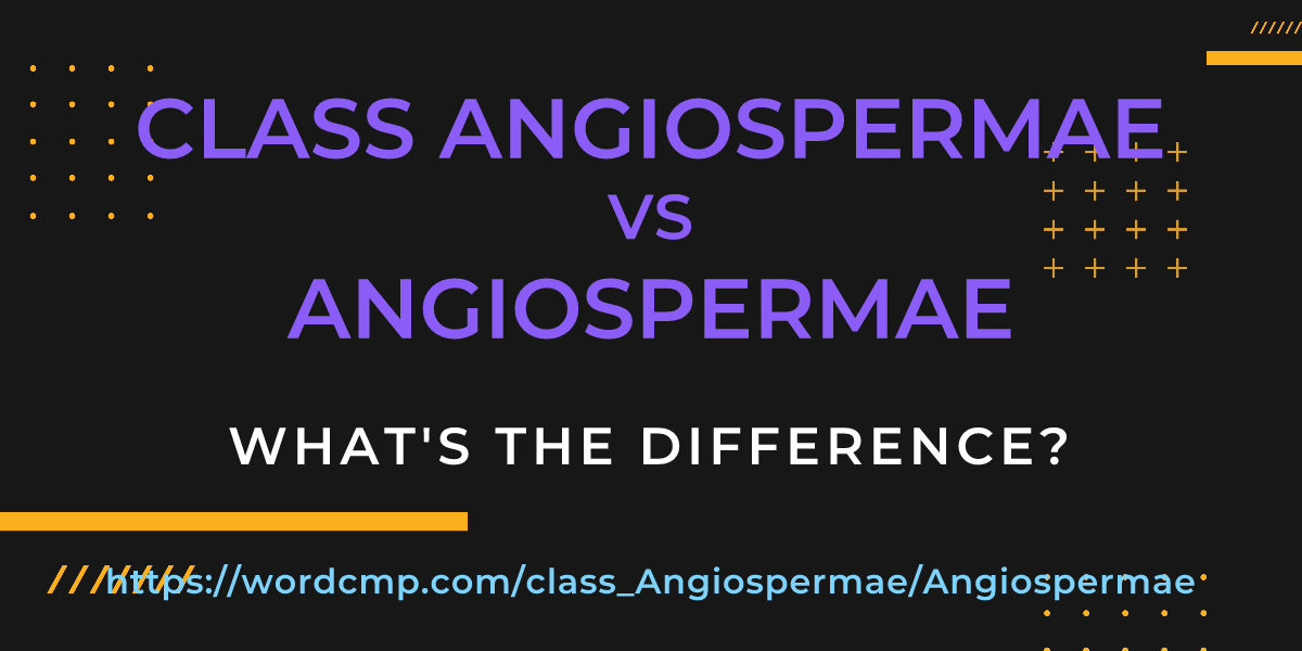 Difference between class Angiospermae and Angiospermae