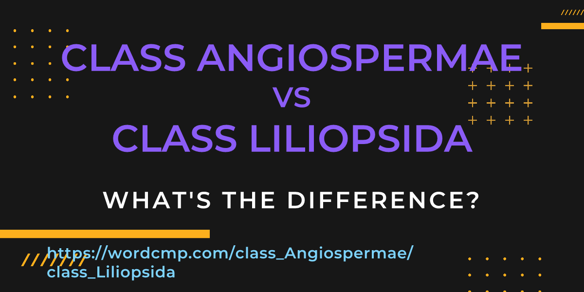 Difference between class Angiospermae and class Liliopsida