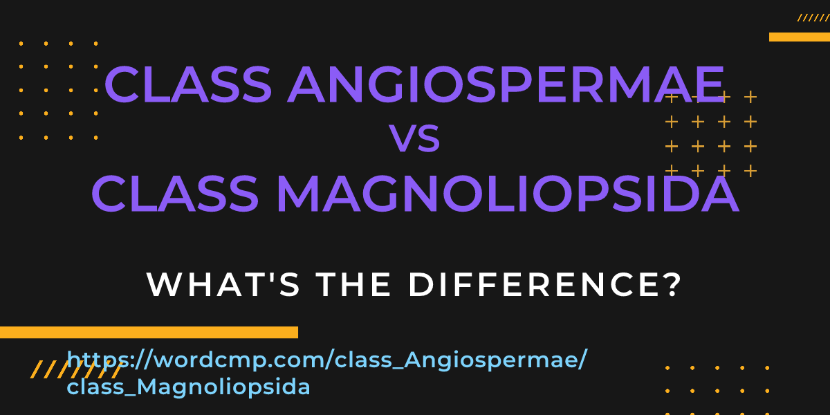 Difference between class Angiospermae and class Magnoliopsida