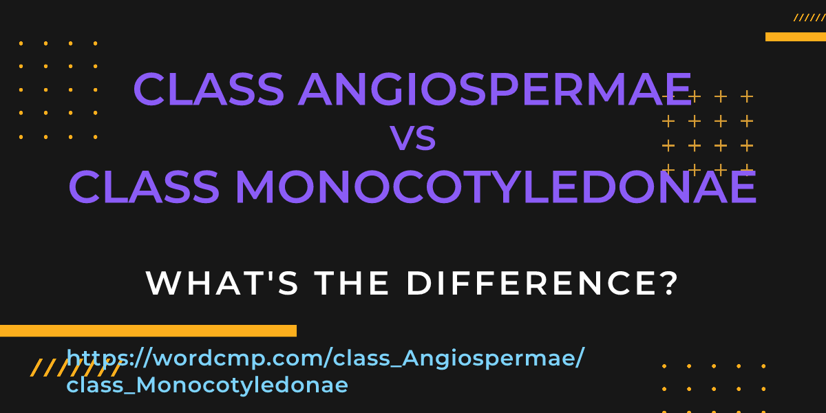 Difference between class Angiospermae and class Monocotyledonae