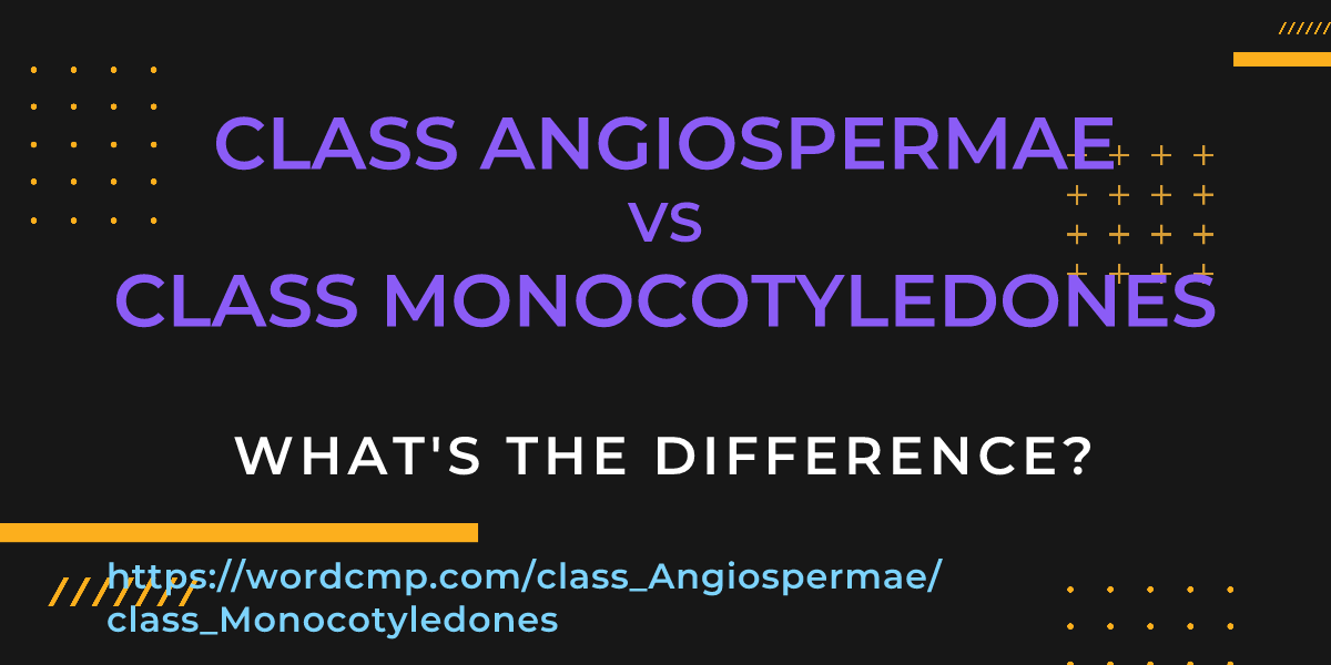 Difference between class Angiospermae and class Monocotyledones