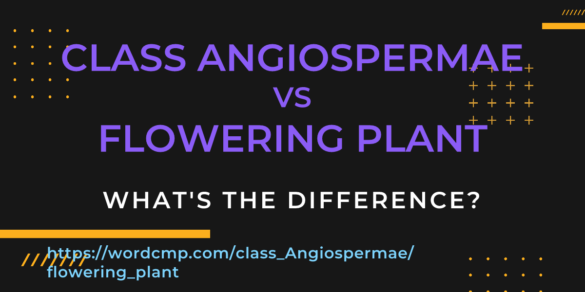 Difference between class Angiospermae and flowering plant