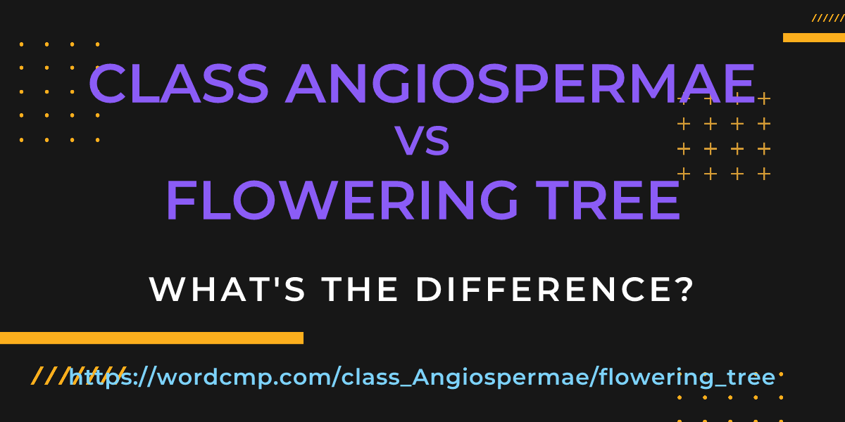Difference between class Angiospermae and flowering tree