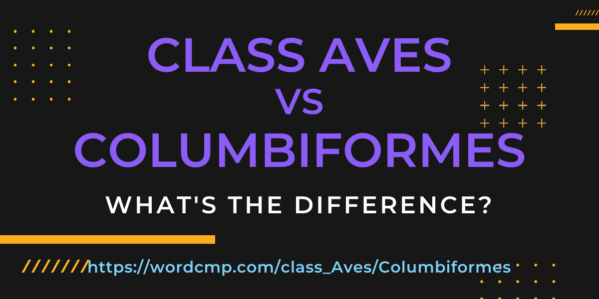 Difference between class Aves and Columbiformes
