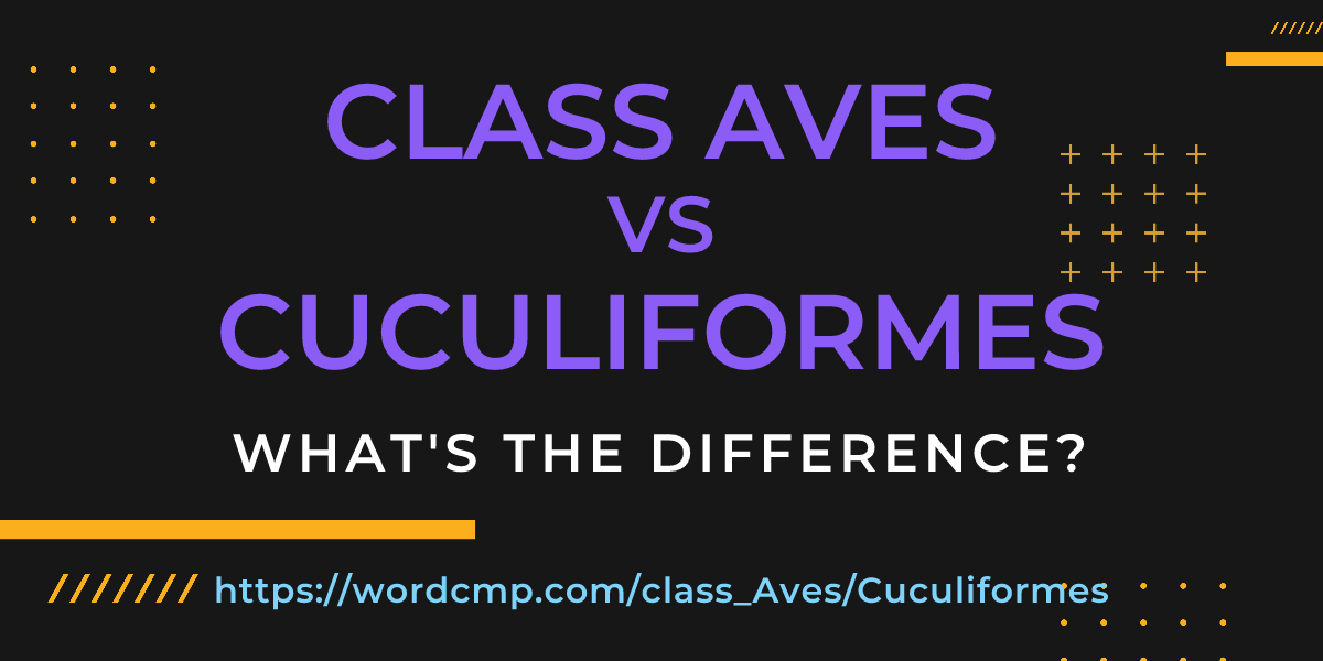 Difference between class Aves and Cuculiformes