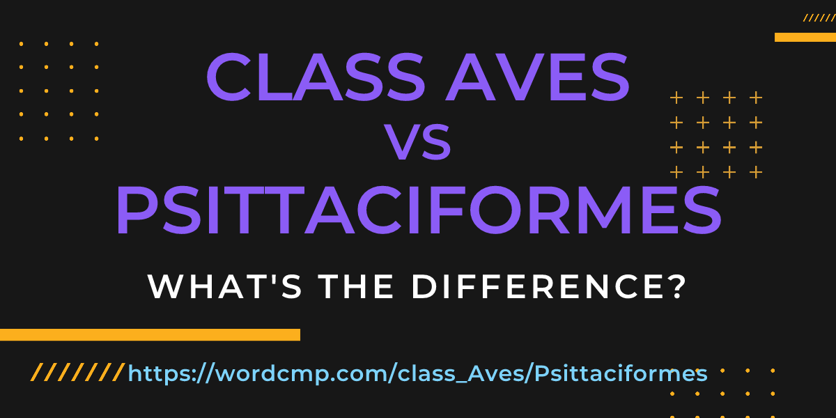 Difference between class Aves and Psittaciformes