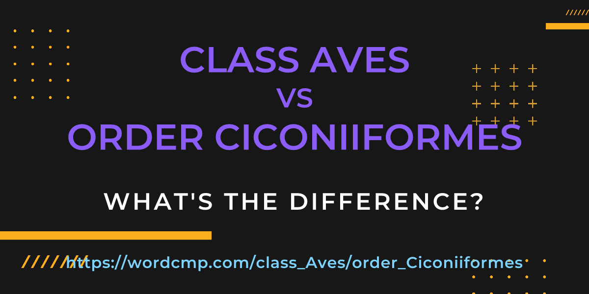 Difference between class Aves and order Ciconiiformes