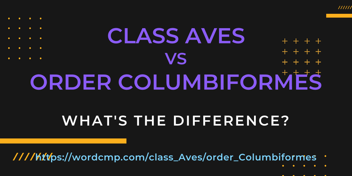 Difference between class Aves and order Columbiformes