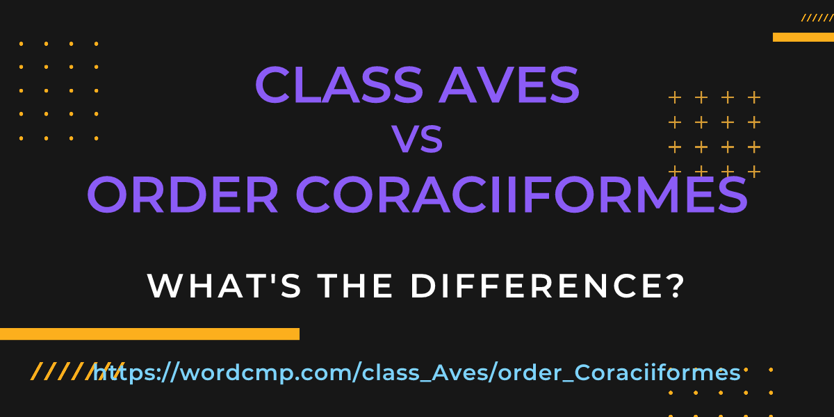 Difference between class Aves and order Coraciiformes
