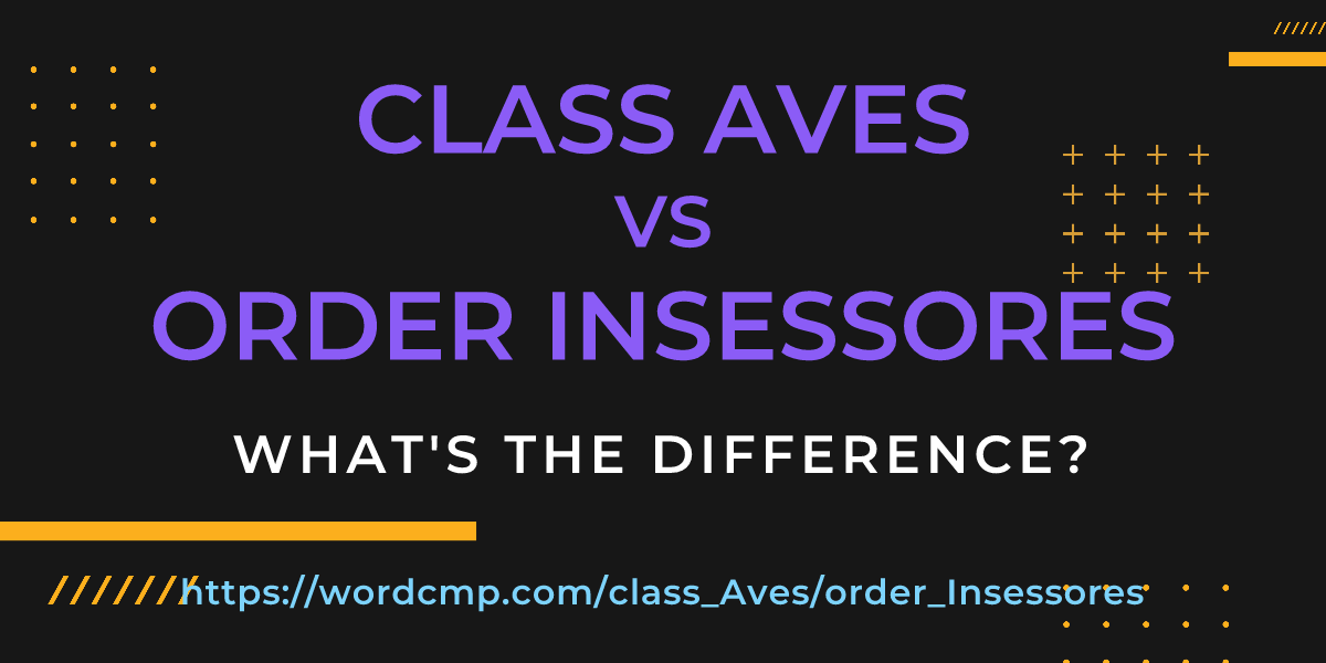 Difference between class Aves and order Insessores