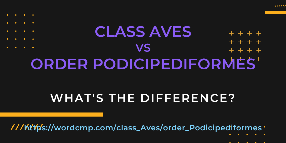 Difference between class Aves and order Podicipediformes