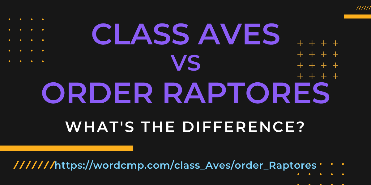 Difference between class Aves and order Raptores