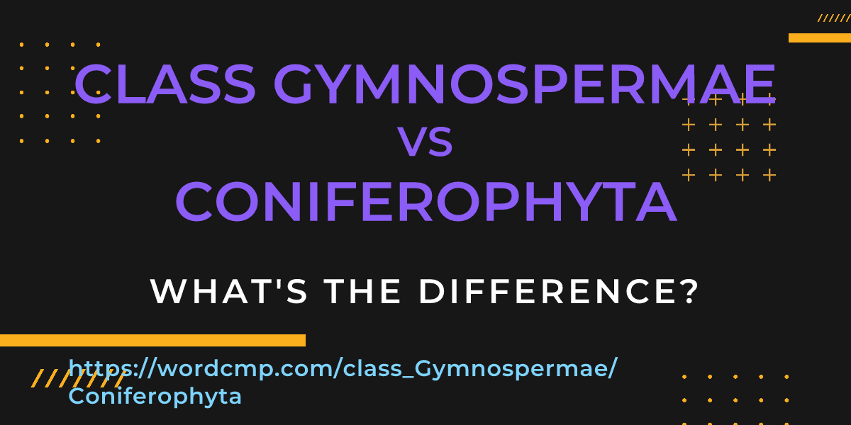 Difference between class Gymnospermae and Coniferophyta
