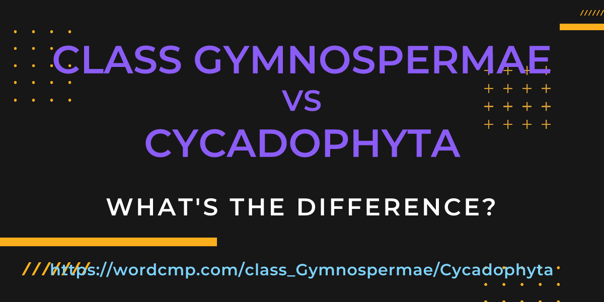 Difference between class Gymnospermae and Cycadophyta