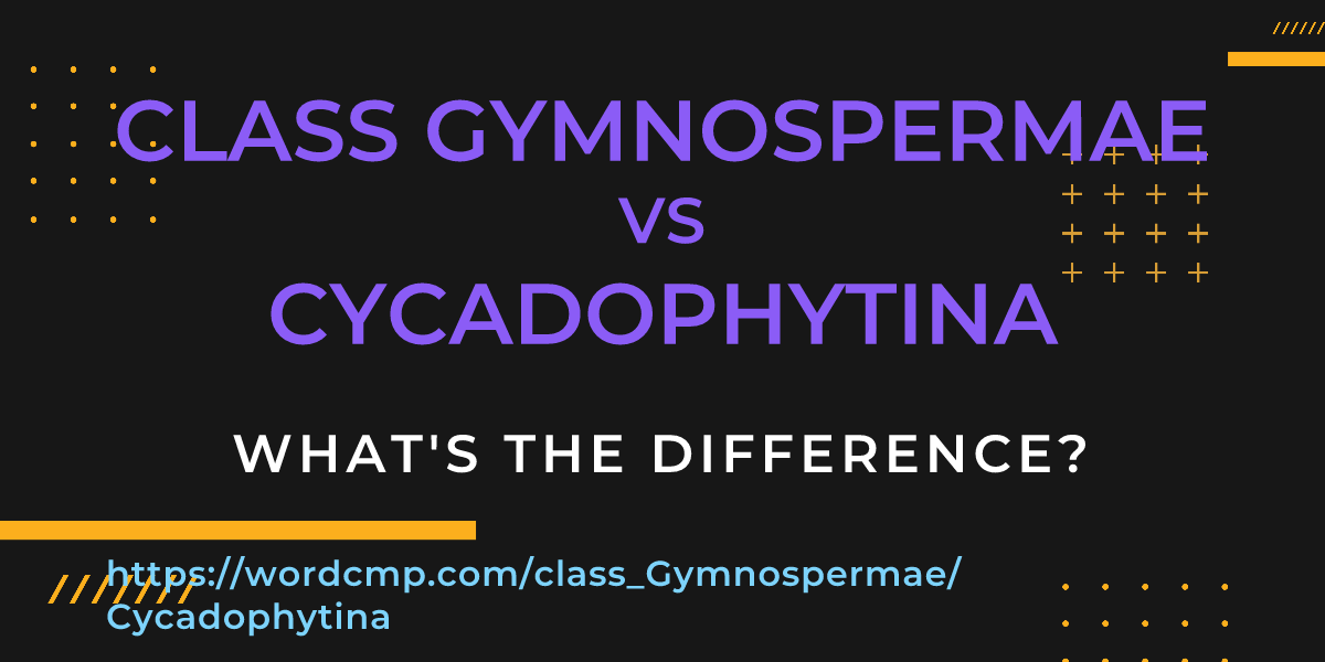 Difference between class Gymnospermae and Cycadophytina