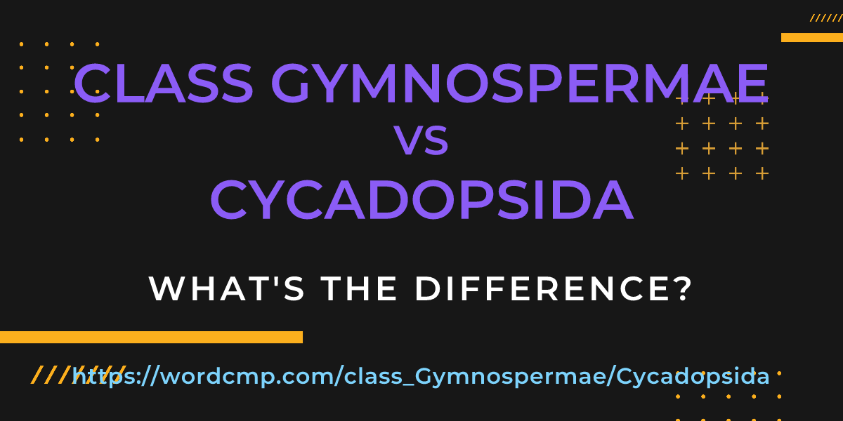 Difference between class Gymnospermae and Cycadopsida