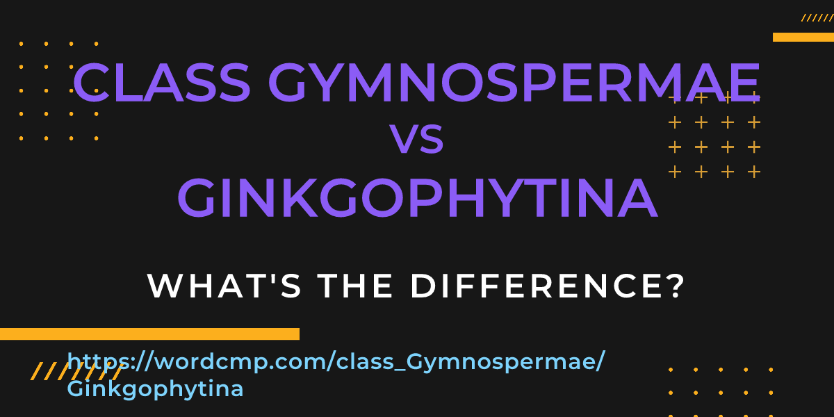 Difference between class Gymnospermae and Ginkgophytina