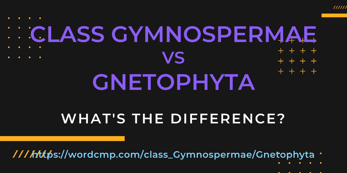 Difference between class Gymnospermae and Gnetophyta