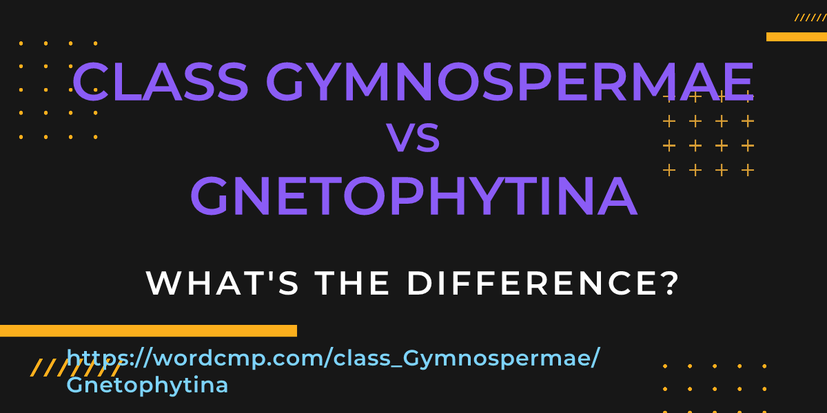 Difference between class Gymnospermae and Gnetophytina