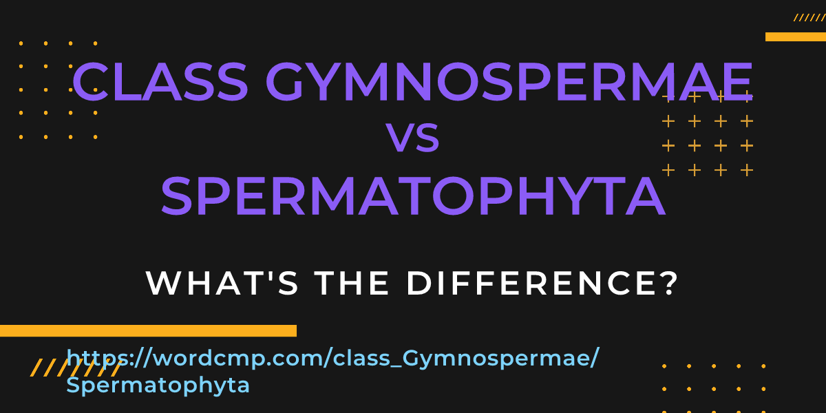 Difference between class Gymnospermae and Spermatophyta