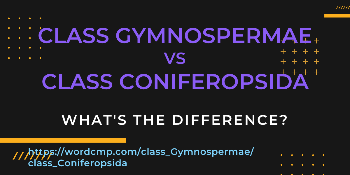 Difference between class Gymnospermae and class Coniferopsida