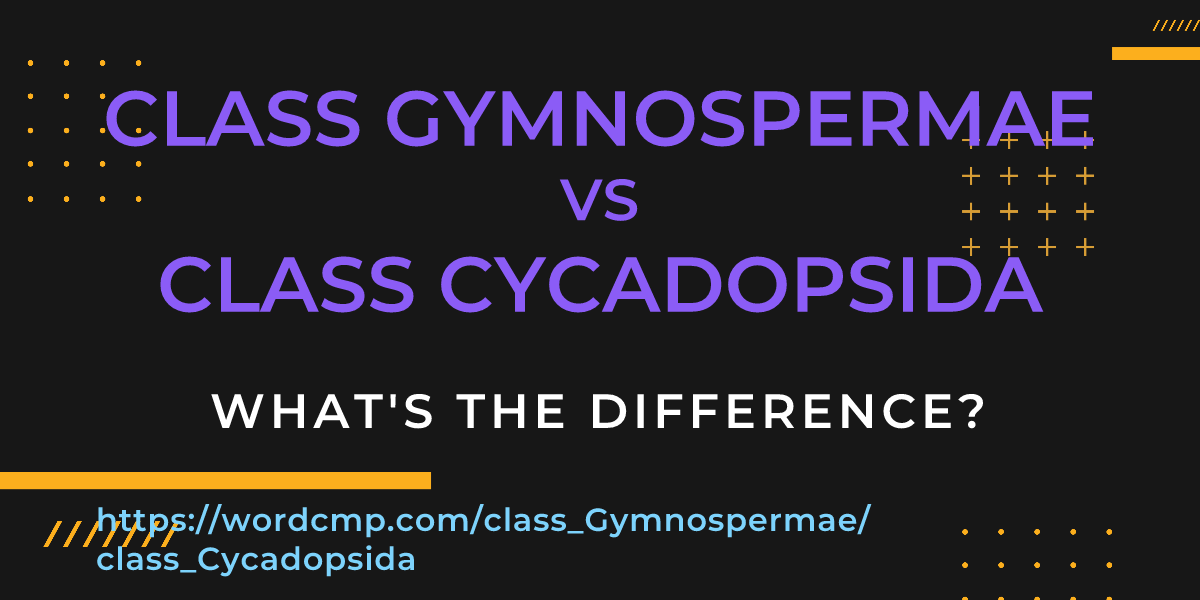 Difference between class Gymnospermae and class Cycadopsida