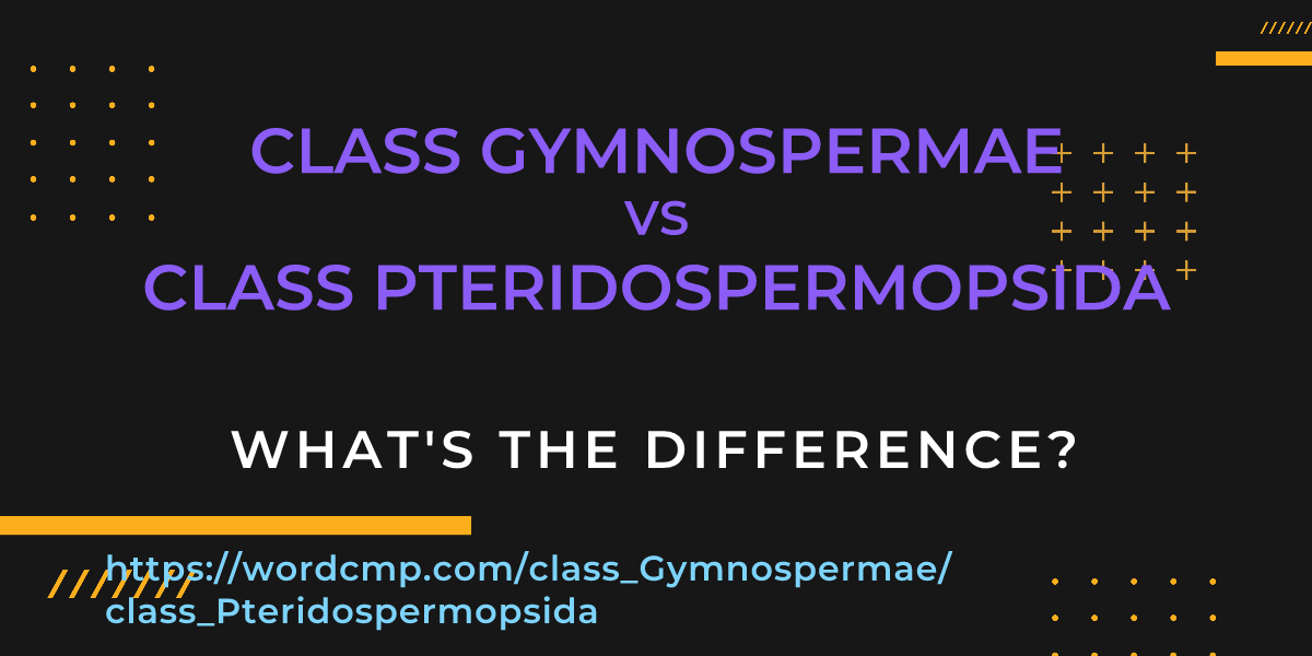 Difference between class Gymnospermae and class Pteridospermopsida