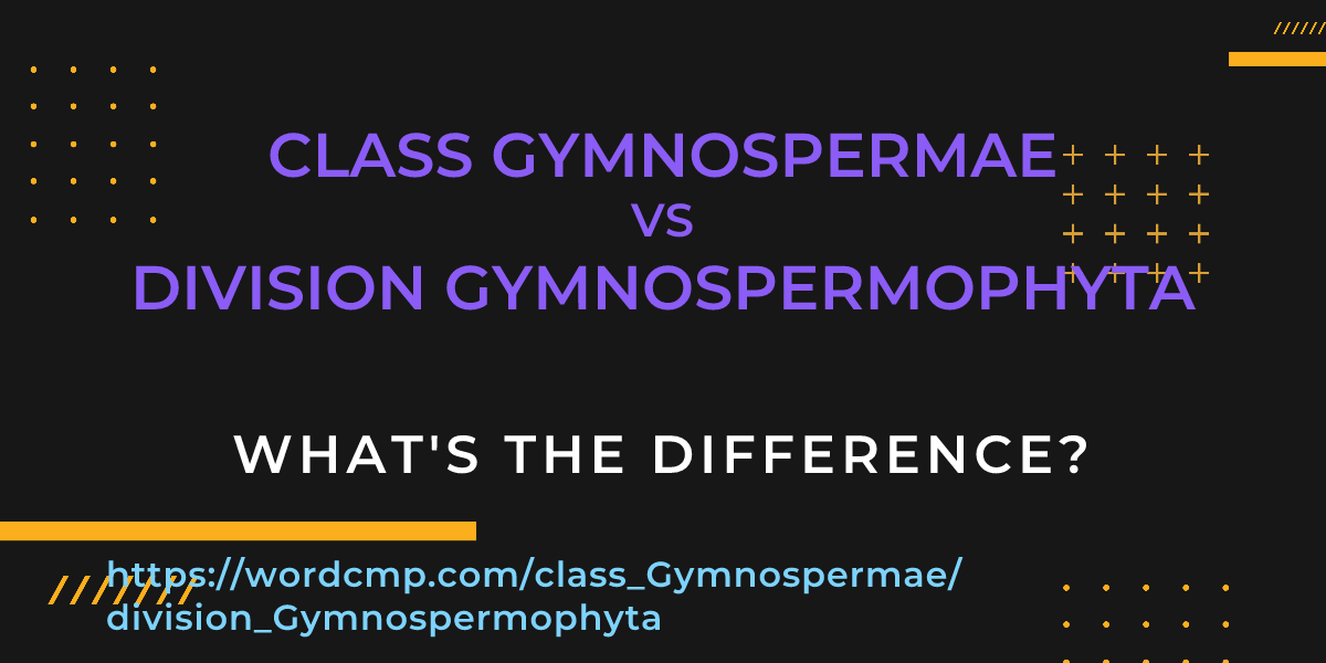 Difference between class Gymnospermae and division Gymnospermophyta