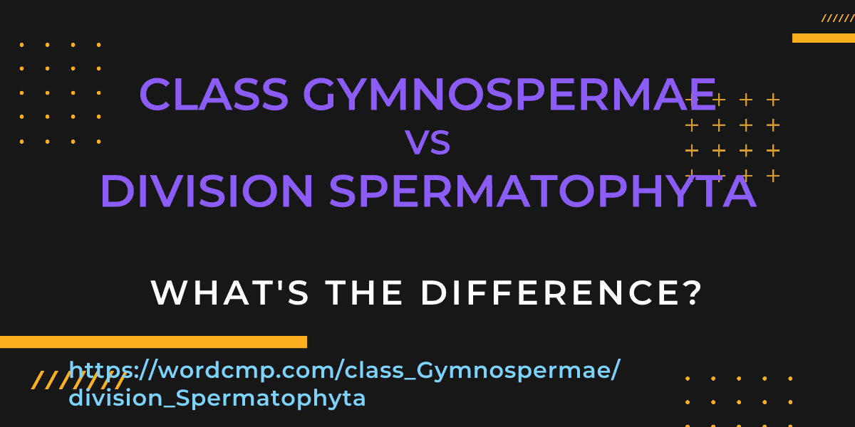 Difference between class Gymnospermae and division Spermatophyta