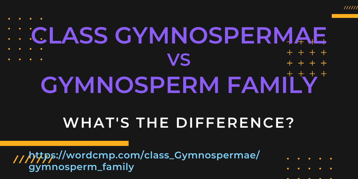 Difference between class Gymnospermae and gymnosperm family