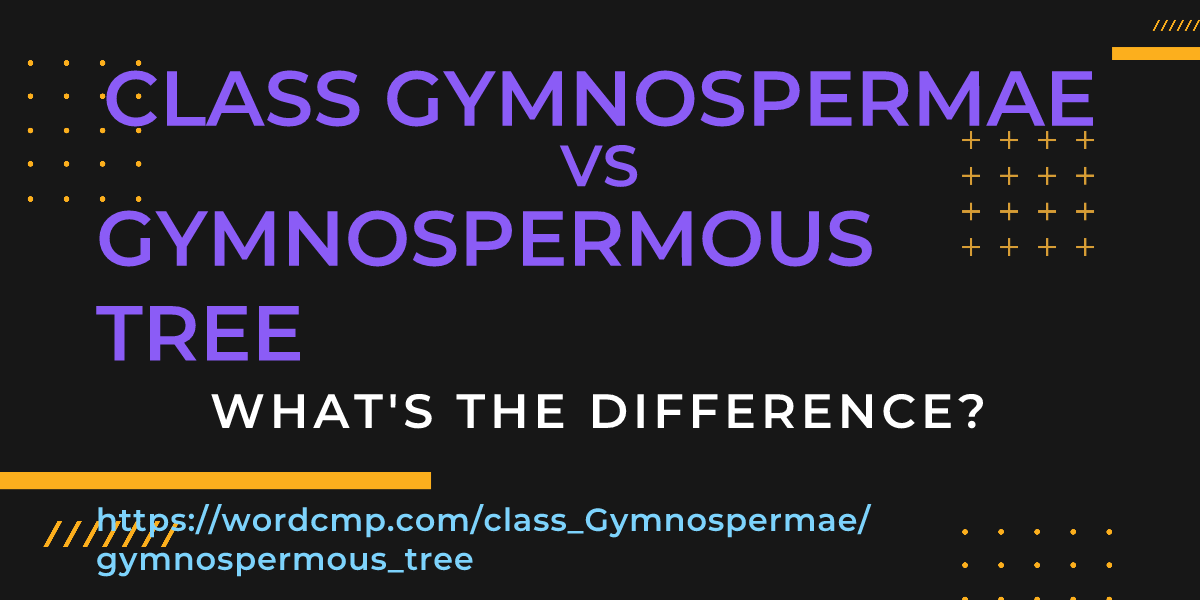 Difference between class Gymnospermae and gymnospermous tree
