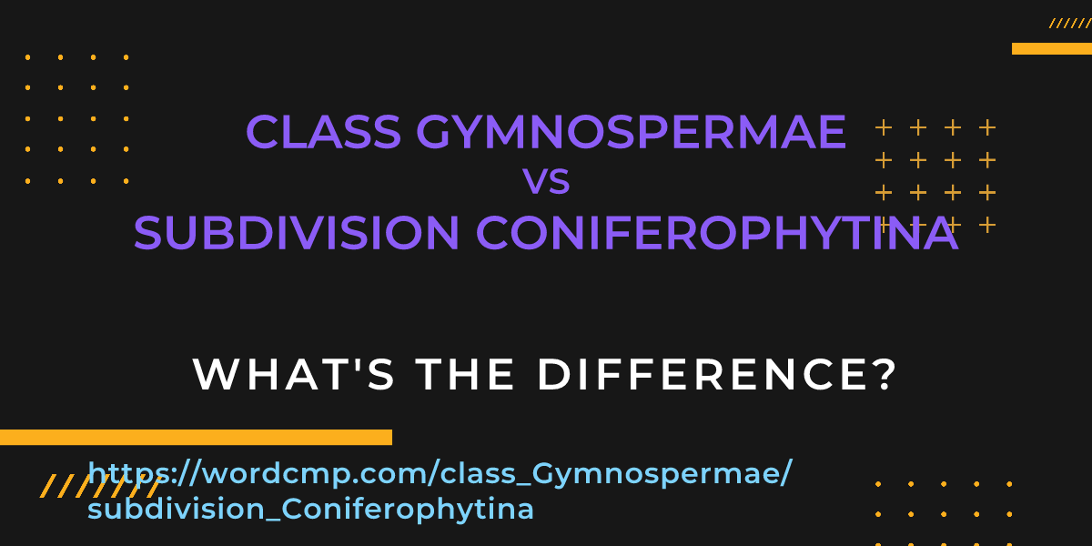 Difference between class Gymnospermae and subdivision Coniferophytina