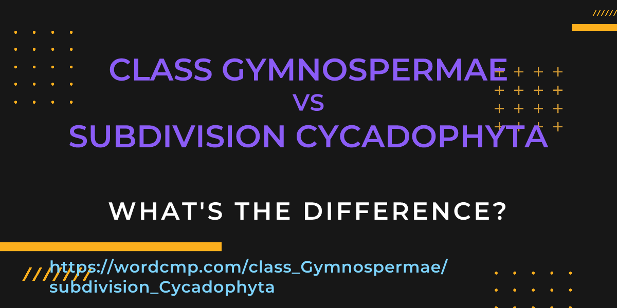Difference between class Gymnospermae and subdivision Cycadophyta