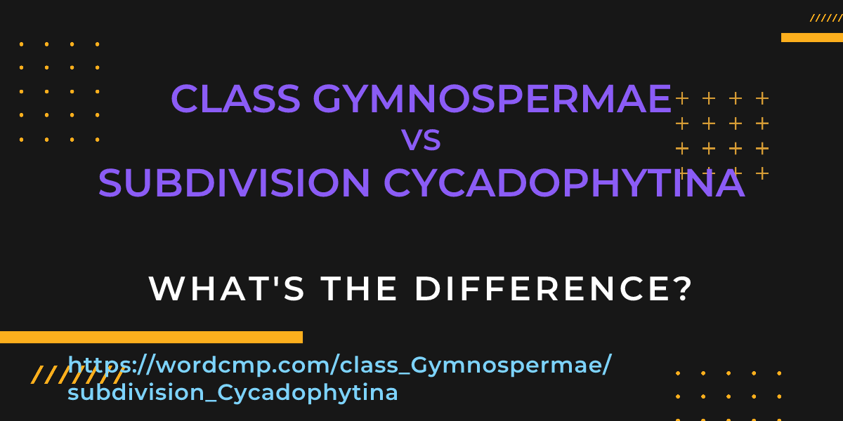 Difference between class Gymnospermae and subdivision Cycadophytina