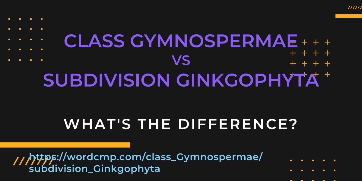 Difference between class Gymnospermae and subdivision Ginkgophyta