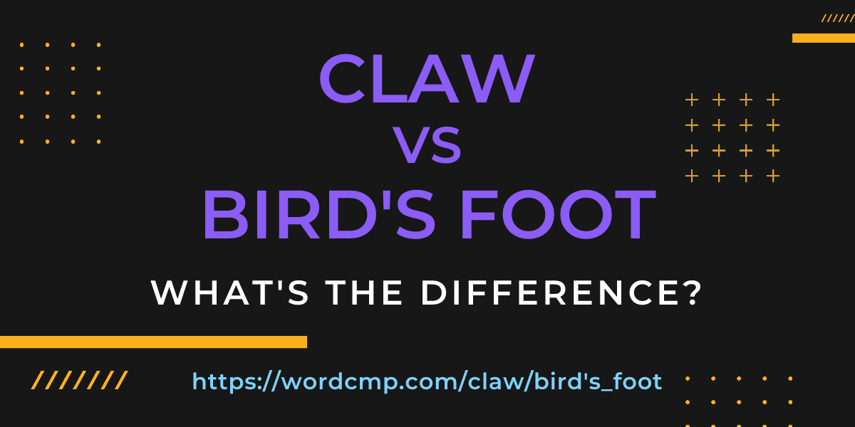 Difference between claw and bird's foot