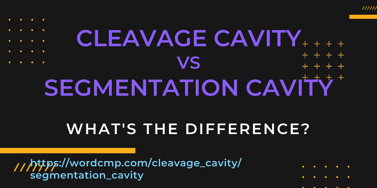 Difference between cleavage cavity and segmentation cavity