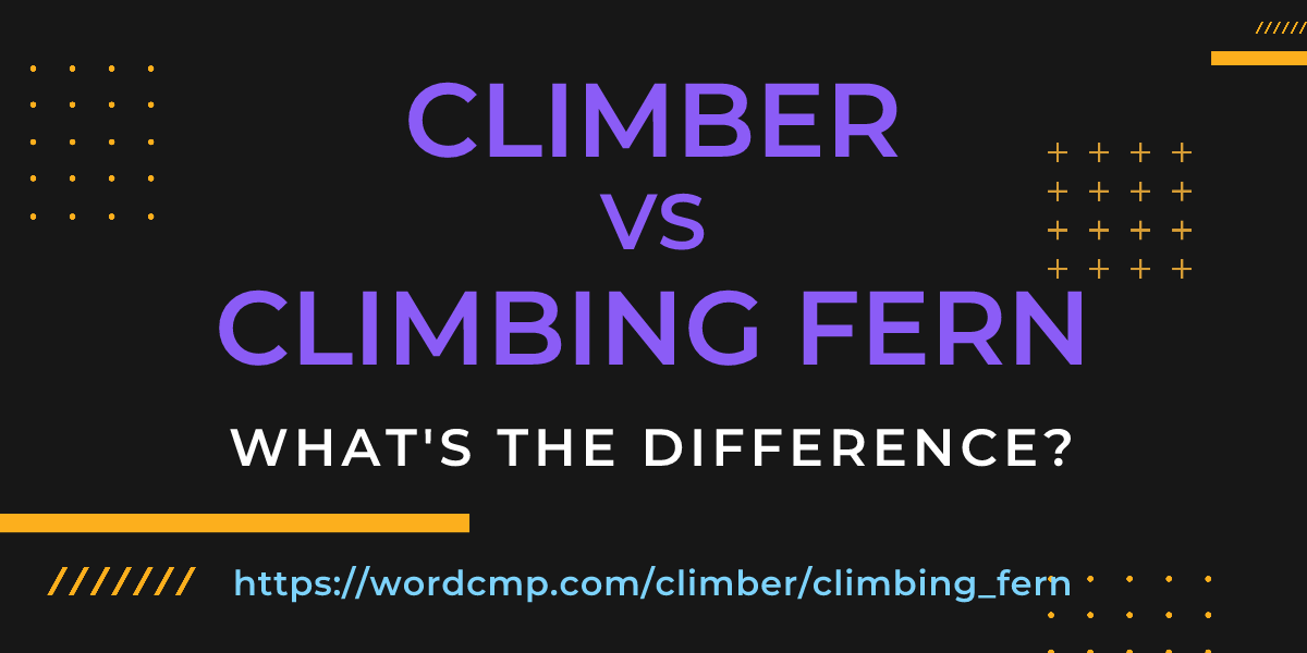 Difference between climber and climbing fern