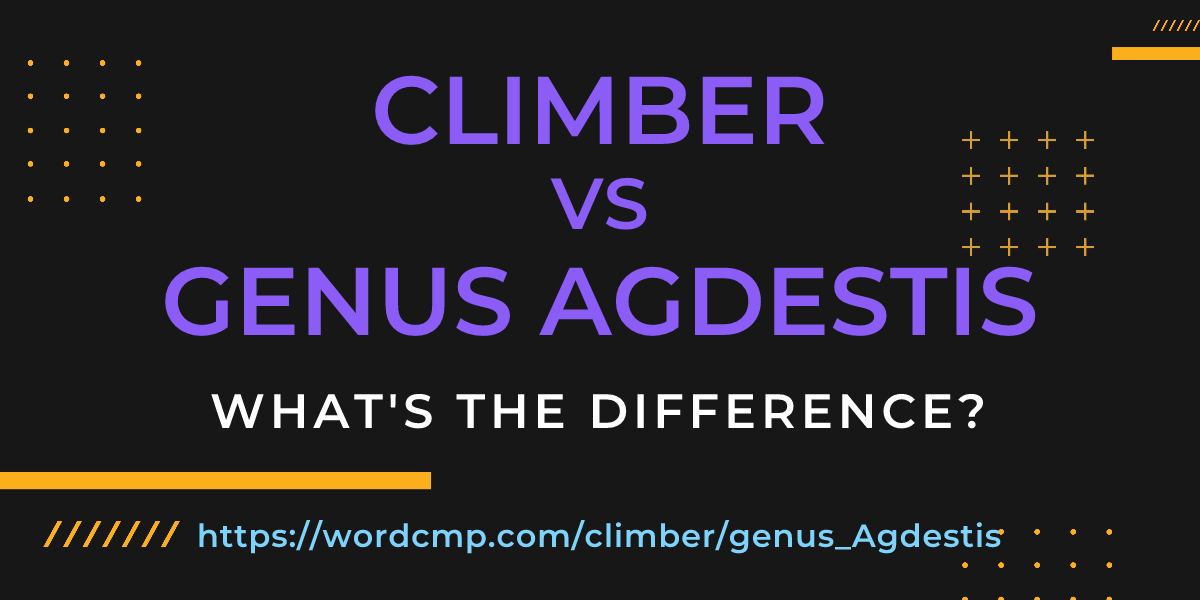 Difference between climber and genus Agdestis