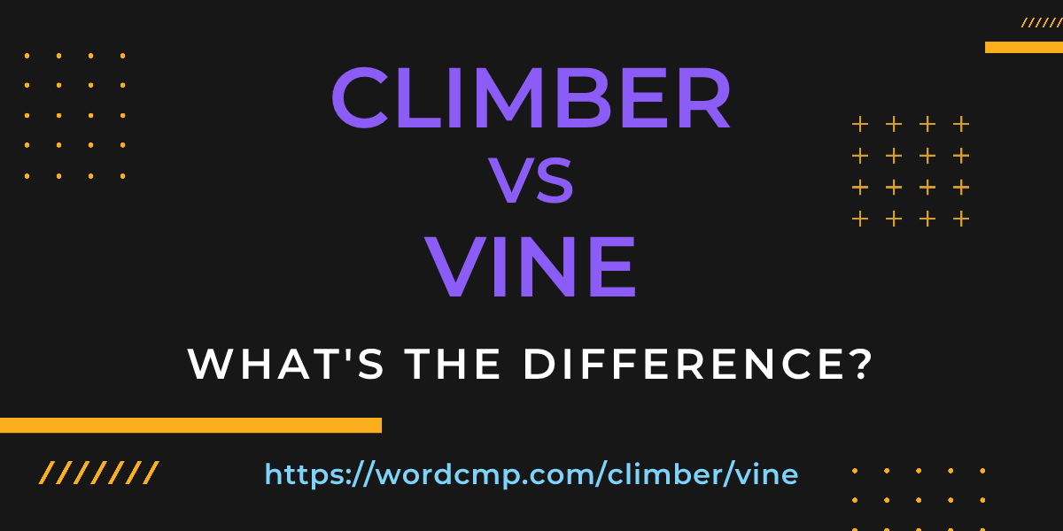Difference between climber and vine