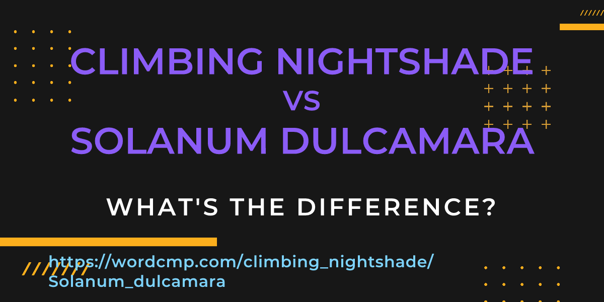 Difference between climbing nightshade and Solanum dulcamara