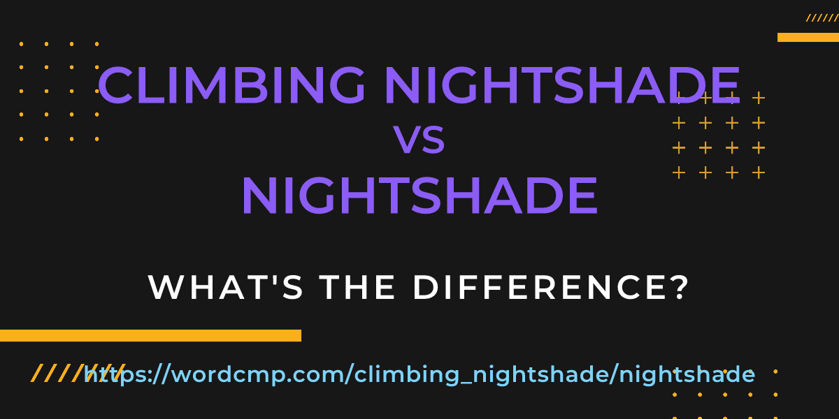 Difference between climbing nightshade and nightshade